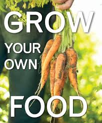 Commandment #4: Grow your own