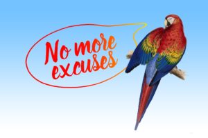 Parrot saying "no more excuses"