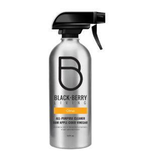 black+berry cleaner spray